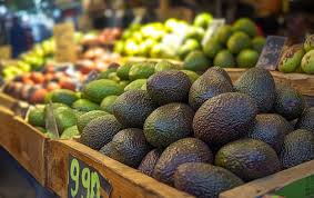 Store-bought Organic Avocados Are Chemically Treated To Artificially Delay Ripening Up To TWO Months